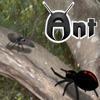 ANT