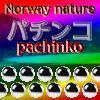 Norway nature pachinko