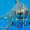 SHARK JIGSAW PUZZLE