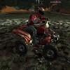 Quad Bike: Trail King